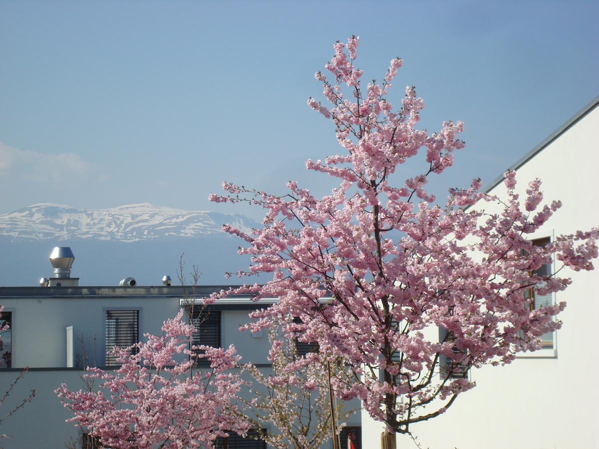 Wonderlandscape Guest House Le Grand Saconnex Exterior foto